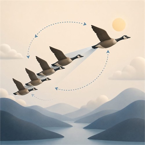 Flying Geese Effect illustration